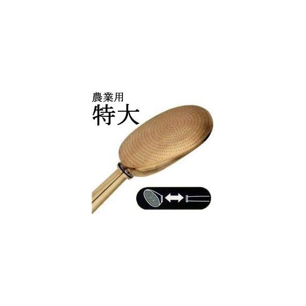 hH SPC-14 AODX^Cv No.14 W{UmY (j[UmY _Ɨp680) zm@52