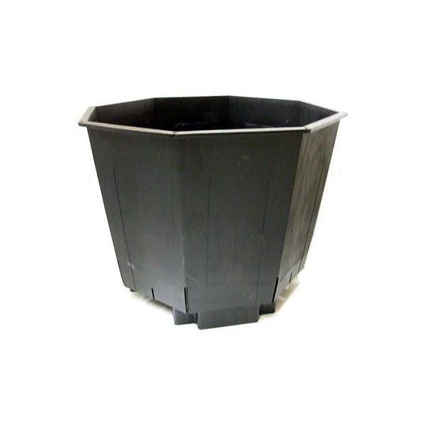 T|bg 120L 620p 8p` ʎ͔|p ^|bg [L] T| (@l/l I)