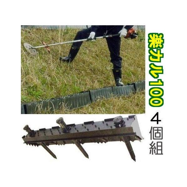 (4Zbg4i) yJ100 @ʃXebv ̂ XΒnXebv ݊Ki T| (@l/l I)