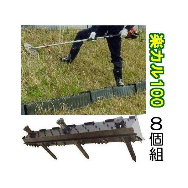 (8Zbg8i) yJ100 @ʃXebv ̂ XΒnXebv ݊Ki T| (@llI)