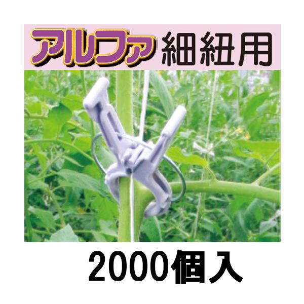 セール】 farm104様専用 くきたっちアルファ10袋(2000個) 新品