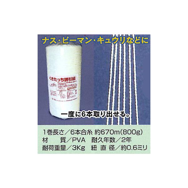 くきたっち誘引紐 2号 約670m 6本合糸2号×1巻 誘引資材 seem (zmP1