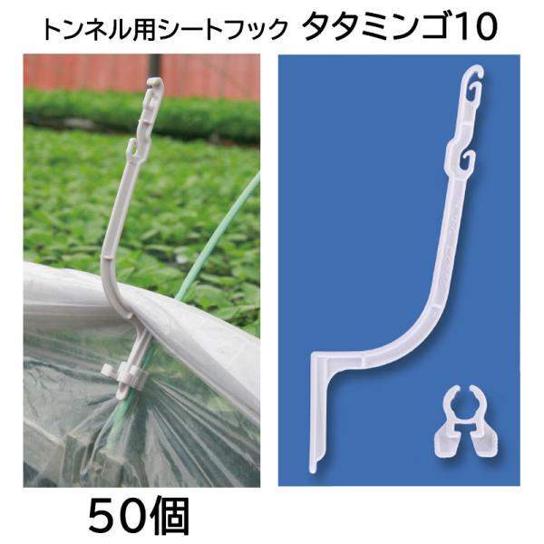 支柱 フック 農業資材 ガーデニング用品の人気商品 通販 価格比較 価格 Com
