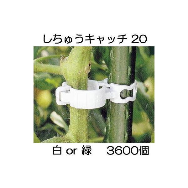 (3600) イLb`20 (or FI) xa20mmp U S20W-300 S20G-300 V[