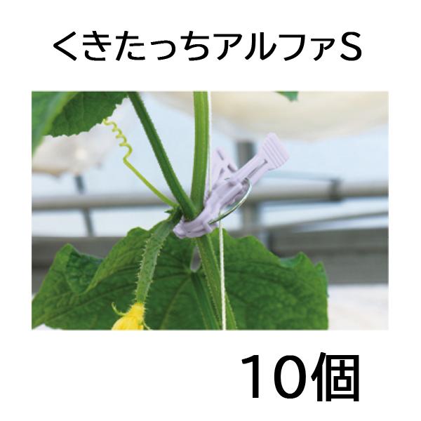 10個入) くきたっちアルファS 細紐用 AS-P240 縦紐・横紐対応 茎保持部