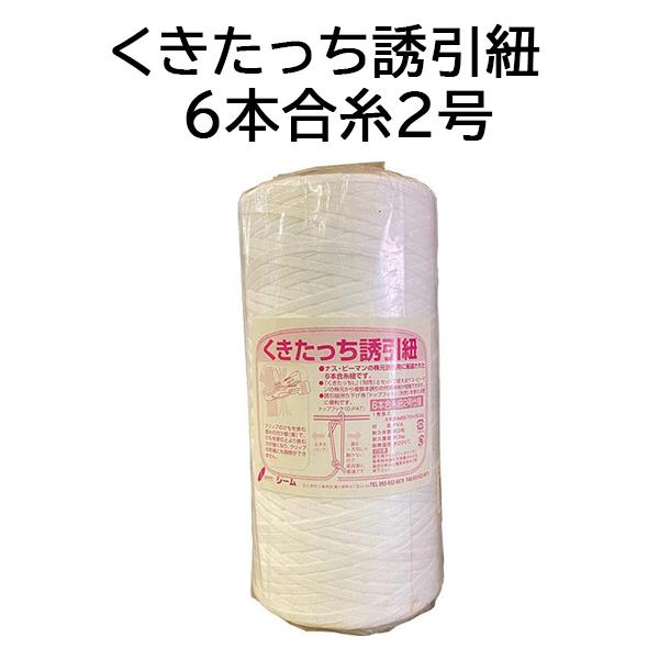 糸（同梱で100円引きです） dentfine-itopicks-04.jpg