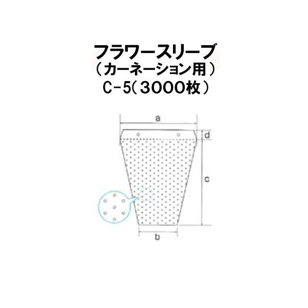 (3000) V E t[X[u (J[l[Vp) C-5 #25 ԑ t[pbN [_@ _ 돤X]