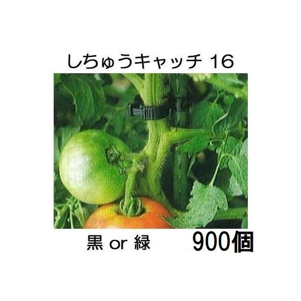 300個入×3袋) しちゅうキャッチ16 (黒or緑 色選択) S16B-300 S16G-300