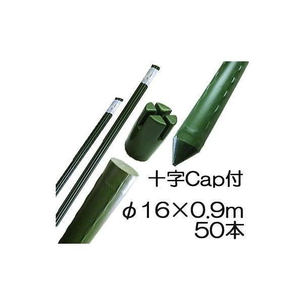 (50{Zbg) |x (\Lbvt) C{t |ǒ| 16mm×0.9m 16×900mm _Ɨp C{| VZC (@llI)