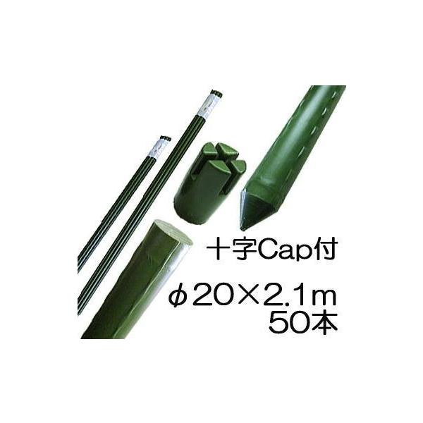 法人向 園芸支柱 イボ付 鋼管竹 φ20mm×2.1m 農業用イボ竹 50本単位 シンセイ