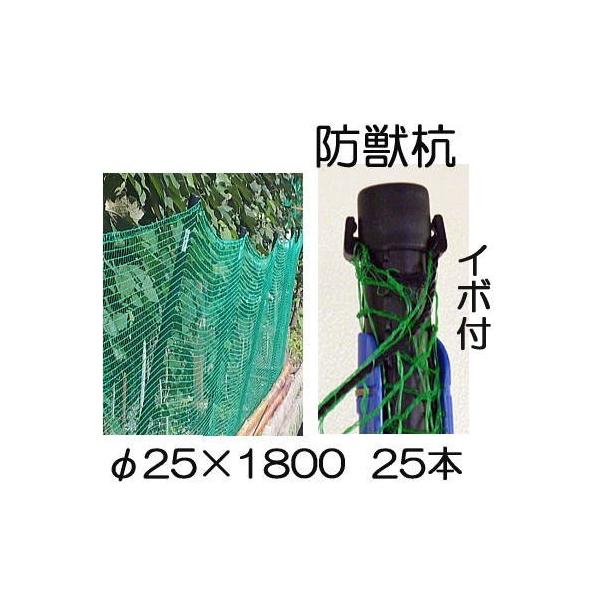 (25{Zbg) CmVVAAK hbY C{t 25×1800mm VZC (@llI)