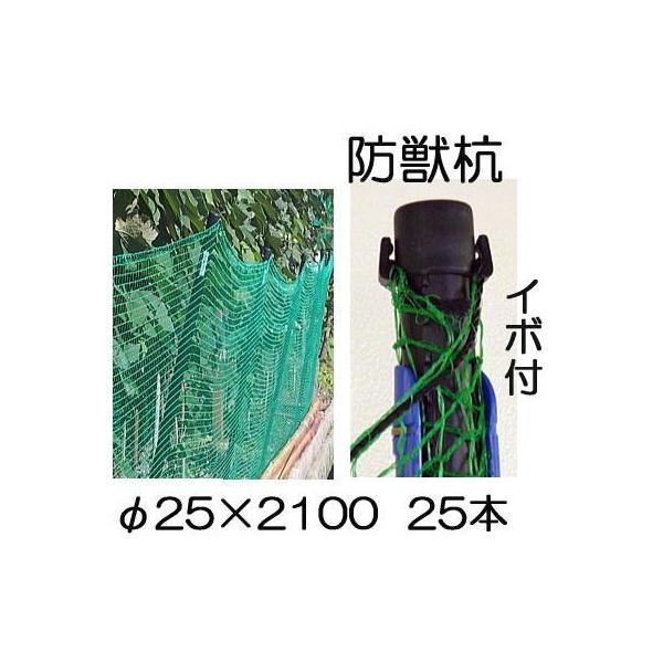 (25{Zbg) CmVVAAK hbY C{t 25×2100mm VZC (@llI)