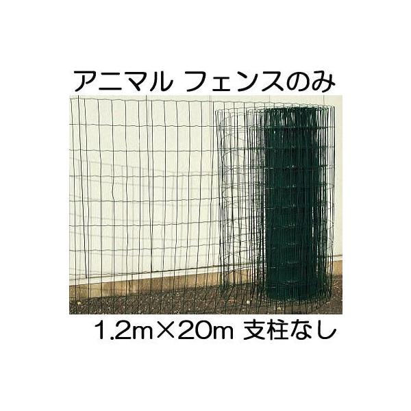 Aj}tFX tFX̂ Ԗ5×10cm 1.2m×20m VZC (@lorlI)