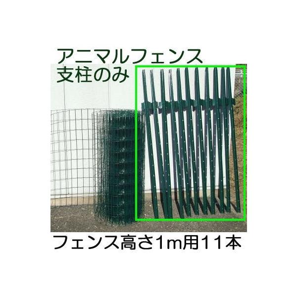 (11{Zbg) Aj}tFX x̂ tFX1m×20mp S145cm VZC (@lorlI)