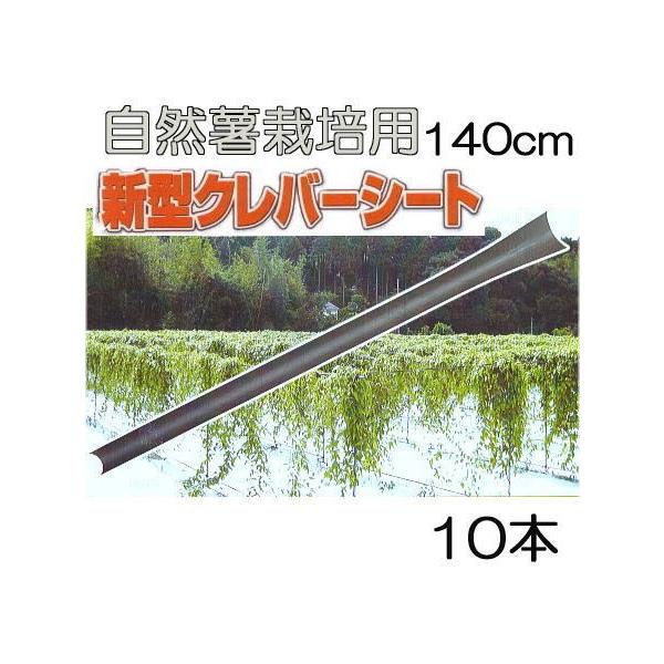 (10{Zbg) No[V[g 140cm R͔| Rp R͔| ˂񂶂 cR_