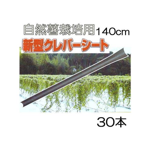 (30{Zbg) No[V[g 140cm  R͔| Rp R͔| cR_