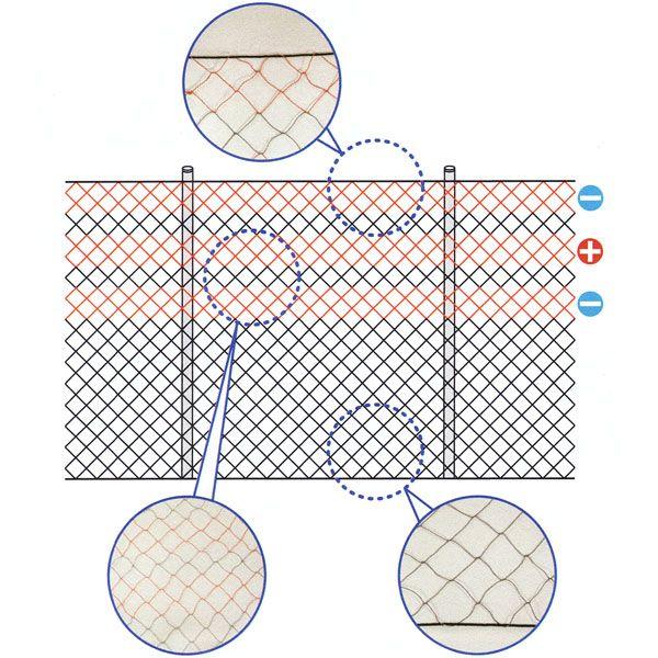 3iTlbg SN-10 2m×50m (651) Tp (lbg)  dq쏊 mp d dCn