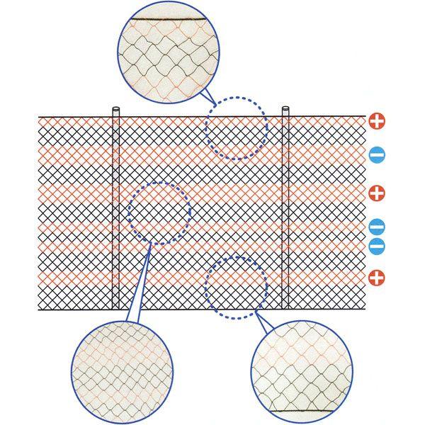 6iTlbg SN-7 2m×50 (652) Tp (lbg)  dq쏊 mp d dCn