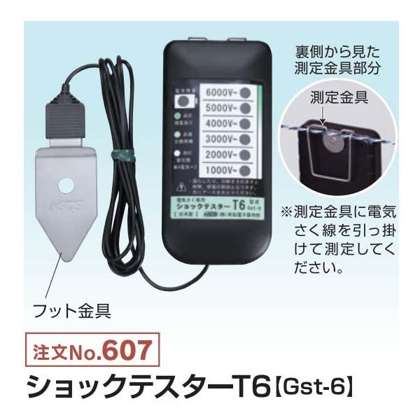 VbNeX^[T6 Gst-6 (607) dCp d dq쏊 keib