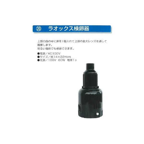 [琗pi tLi] IbNX atL