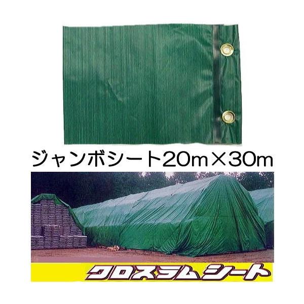 ブルーシートより1割以上軽い クロスラムジャンボシート 20m×30m : ザ 
