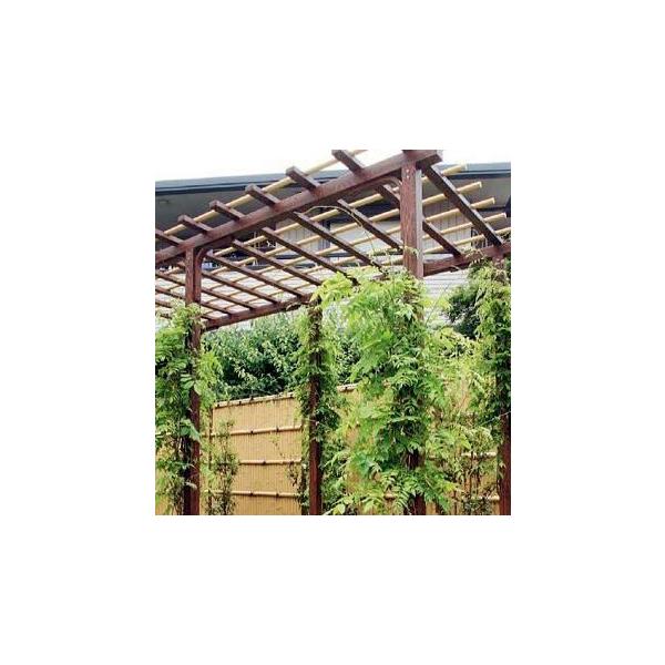 AGo[ I (_u) HD-36 28095700 W3600×D1800×H2400(mm) ^JV[ mӂI ԂǂI I p[Snyuas