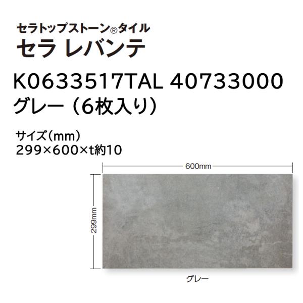 タカショー セラトップストーン タイル セラ レバンテ 入数:6枚