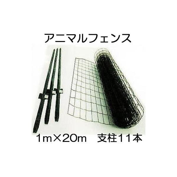 hb Aj}K[htFX 1m×20m x11{t VZC (@lorl)@sins