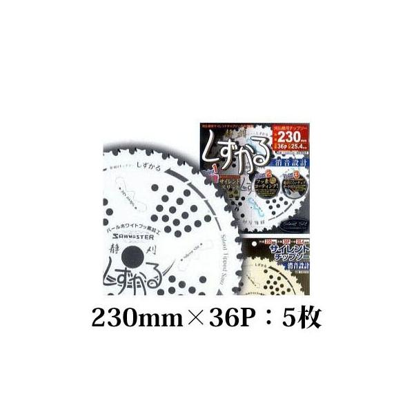 (p5Zbg) (ϔ) Ê  n 230mm×36P T-S2009 TCg`bv\[ Jy `bv\[ ֐m (zmE4)