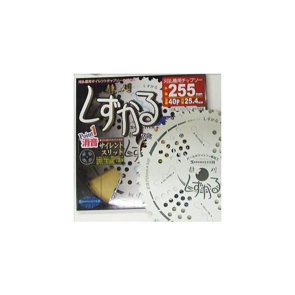 Ê  n 255mm×40P 1  TCg`bv\[ Jy`bv\[ T-S2010 ֐m (zmE4/zse)