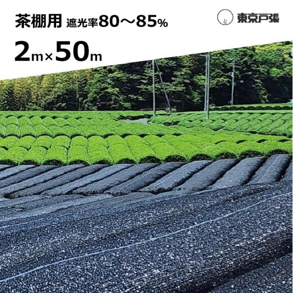 2026年11月以降予定) 茶棚用遮光ネット 幅約2m×長さ約50m 東京戸張