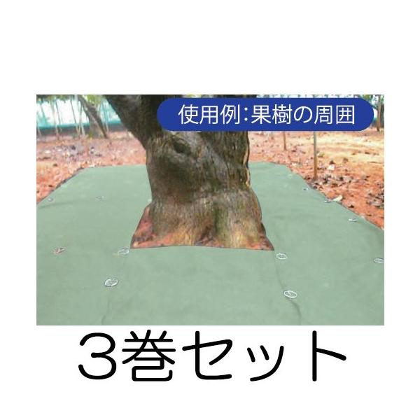 3巻セット) 草おさえ #115 緑 幅1.5m×50m巻 耐用年数：約8年 (雑草