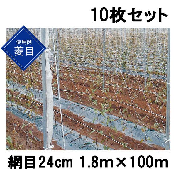 ながいもネット 網目24cm角 巾1.8m 長さ100m ×17個　農業資材 10枚セット) 東京戸張 ながいもネット 網目24cm 1.8m×100m NB18100
