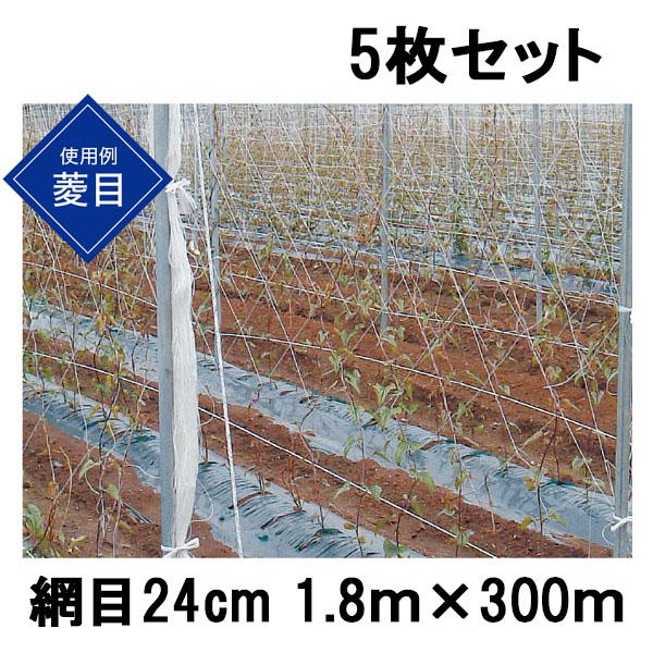 ながいもネット 網目24cm角 巾1.8m 長さ100m ×17個　農業資材 5枚セット) 東京戸張 ながいもネット 網目24cm 1.8m×300m NB18300 白