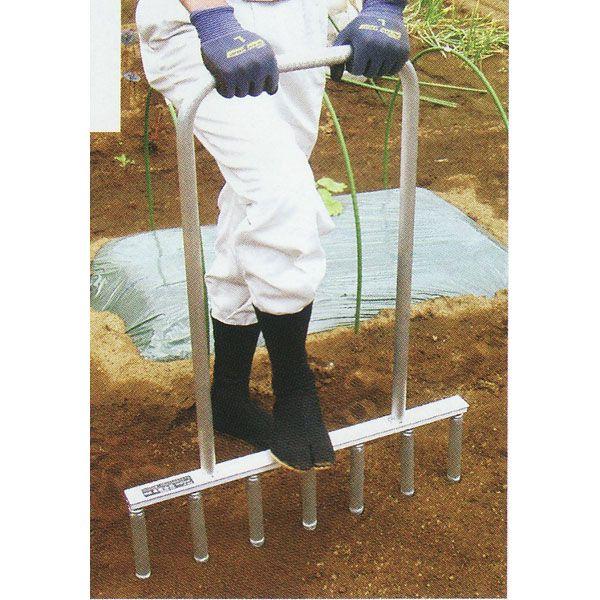 A lMTV 7{t (lMAp) lM ؎Y