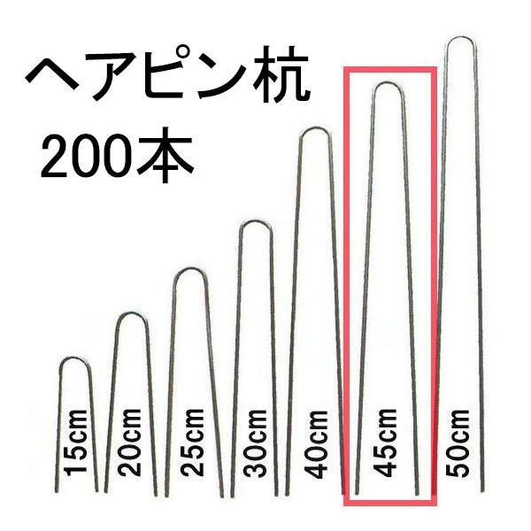 (200{) wAsY 3.8mm×45cm (~ߍY ߍY U^V[gs UsY) h V[gŒs ؎Y