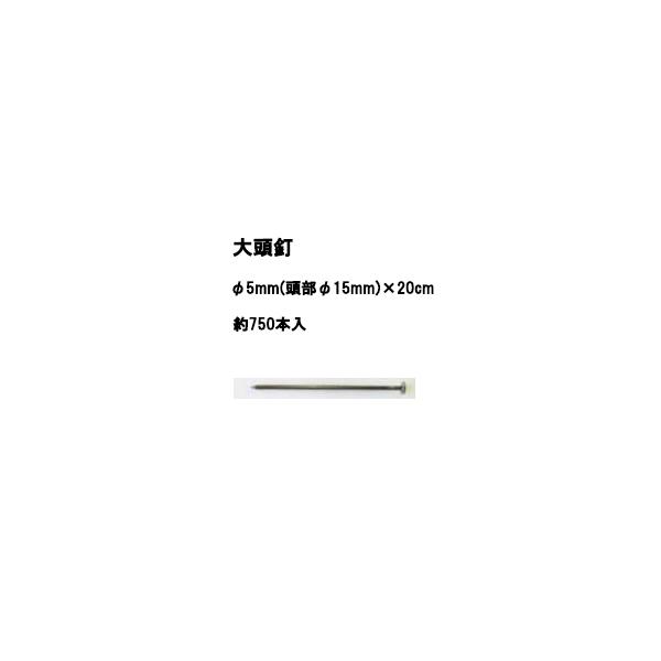 (750{) 哪B 5mm(16mm)×20cm ؎Y یNBS͕t܂ (hV[g fJs {)