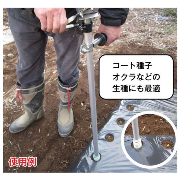 (iE[)܂N R[gqEqpd@ ؎Y