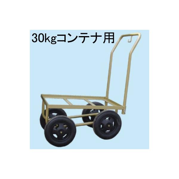 }[N2 30 30kgReip X`[ np nEXJ[ }[NII30 ؎Y