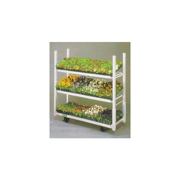 t[J[S ND-1615N 4֎݌^ JH (@ll͑)