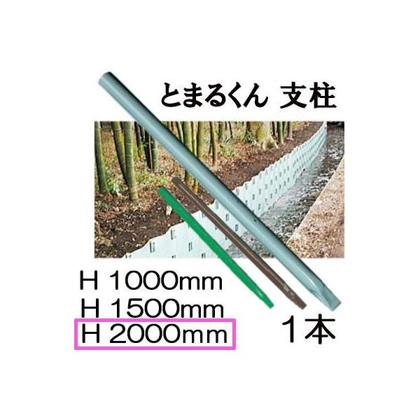 (Ϗi FI) y| Ƃ܂邭px Lbvt (3ip) 48.6×2000mm 1{ (5.52kg) SZnCJ[ jbPtFX&amp;^