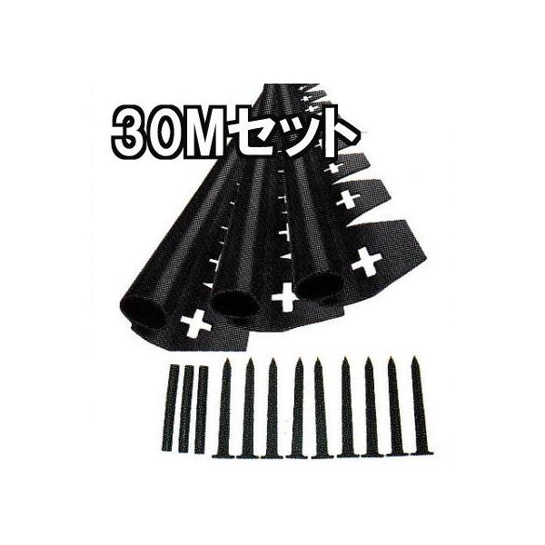 (30mZbg) hV[g ؂Zbg ubN EDG-BWBL-3P×5Zbg (ZbgeF2m×15{A20cmAJ[s50{AWCg15{) (@llI) kond