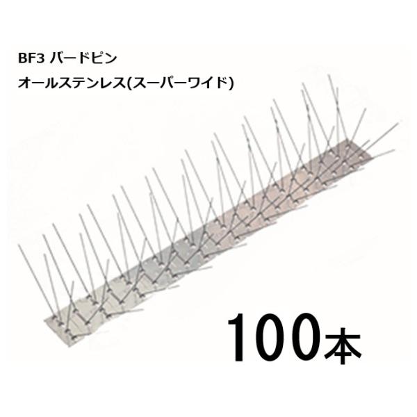 オールステンレス スーパーワイド 特価100本セット) BF3 バードピン