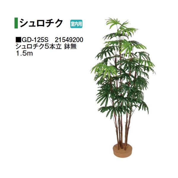 タカショー (室内用) 人工植物 シュロチク シュロチク5本立 鉢無 1.5m