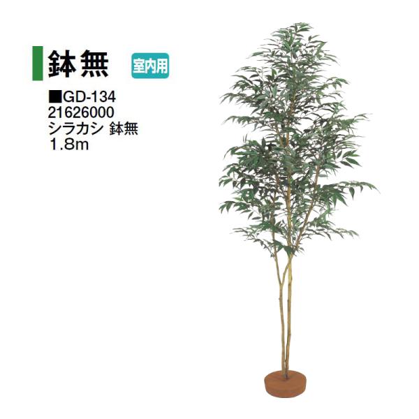 タカショー 【室内用】 人工植物 鉢無 シラカシ 鉢無 1.8m (GD-134