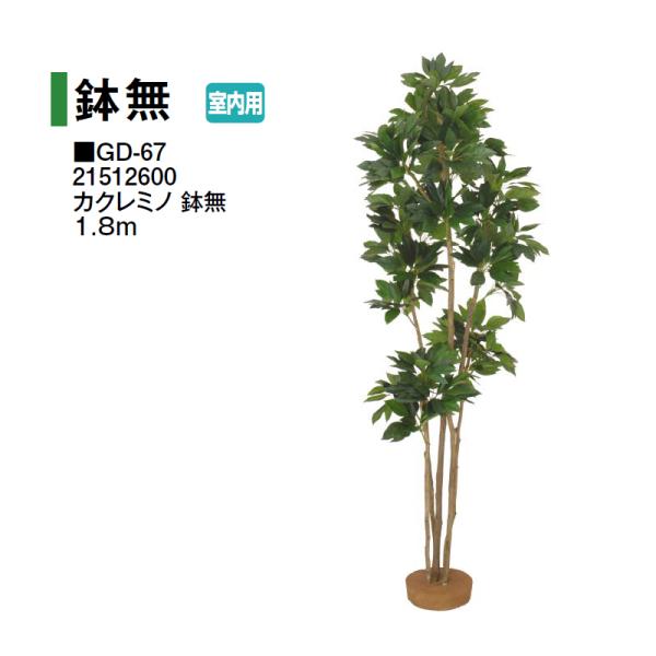 タカショー 【室内用】 人工植物 鉢無 カクレミノ 鉢無 1.8m (GD-67