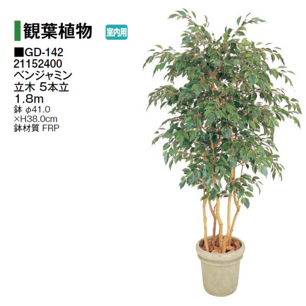 タカショー (室内用) 人工植物 観葉植物 ベンジャミン 立木 5本立 1.8m