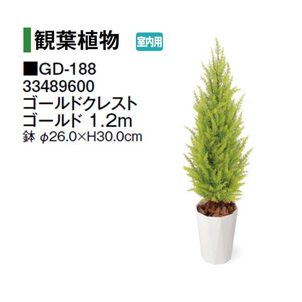 タカショー (室内用) 人工植物 観葉植物 ゴールドクレスト ゴールド