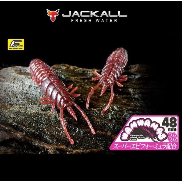 ジャッカル ワムワム 60