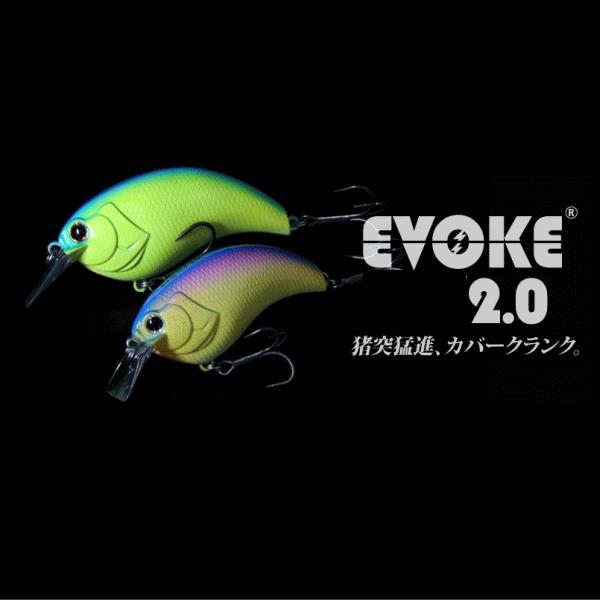 deps（デプス） イヴォーク 2.0 : 池袋タックルアイランド&スキマル